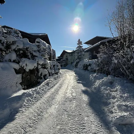 Chalet Fox Hole Kitzbühel